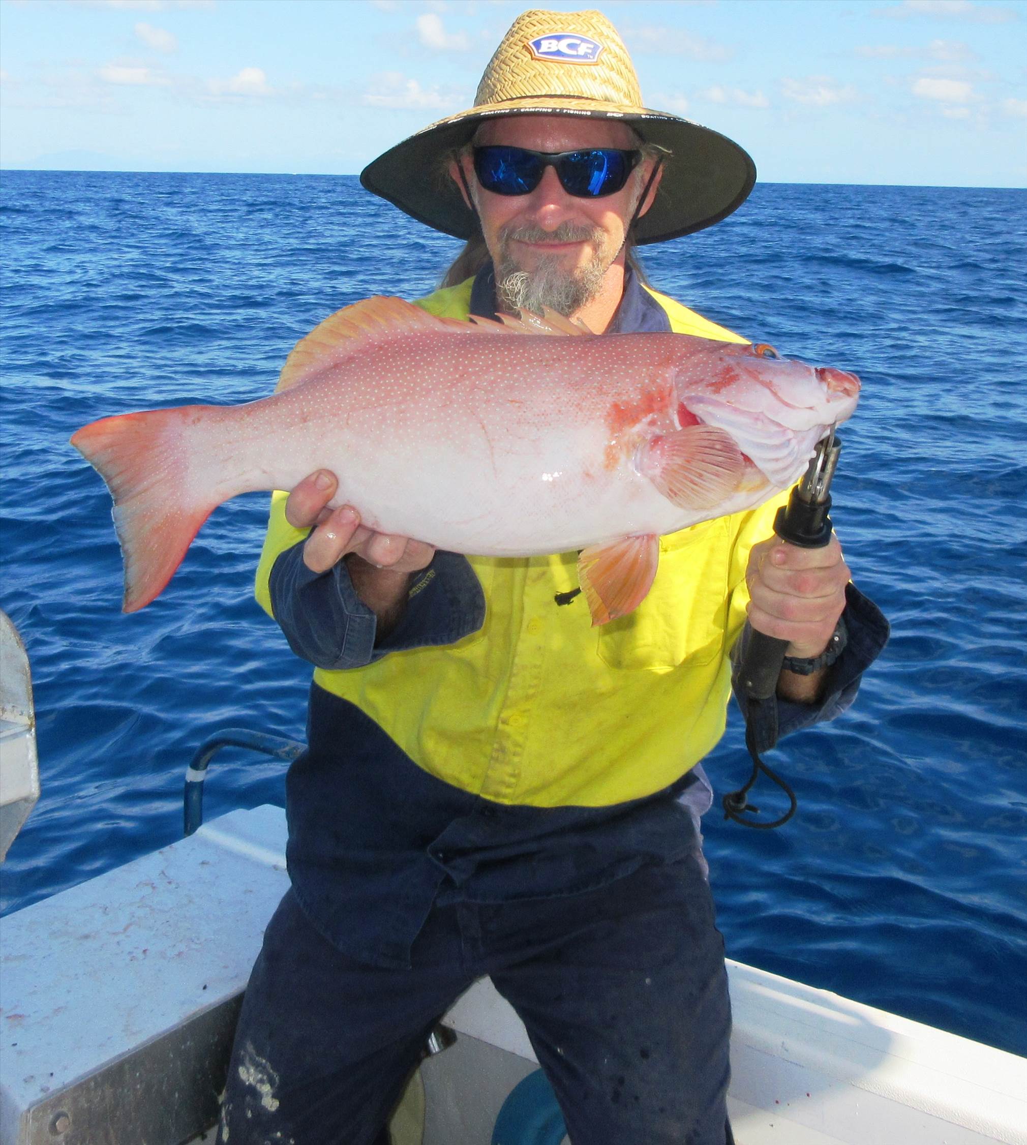 2 for the sharks one for me