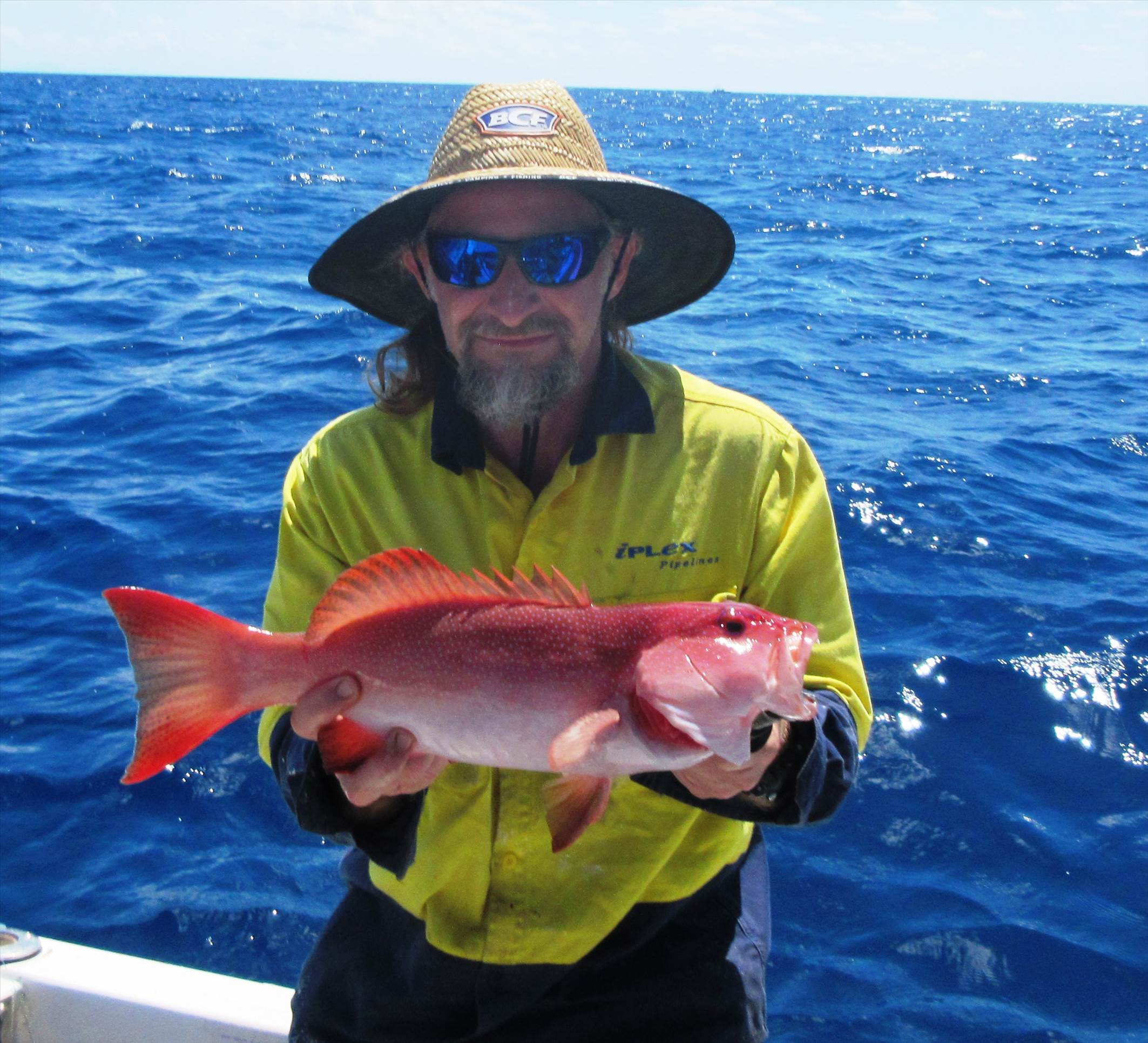 2 for the sharks one for me