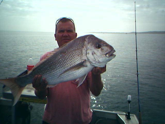 Snapper 