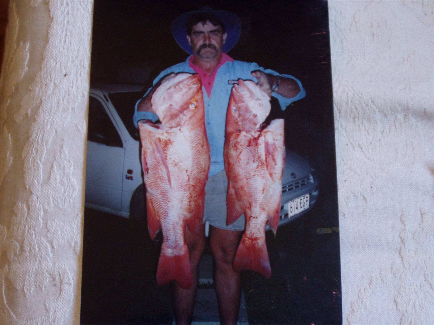 two big reds taken on wreck out from russell heads nth qld