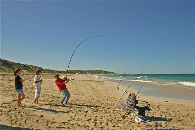 Boof caught this beauty near Moore river.