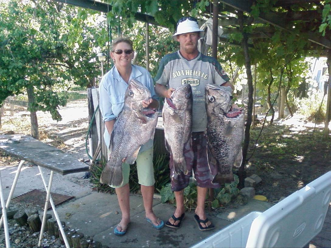 Great Boxing day fishin