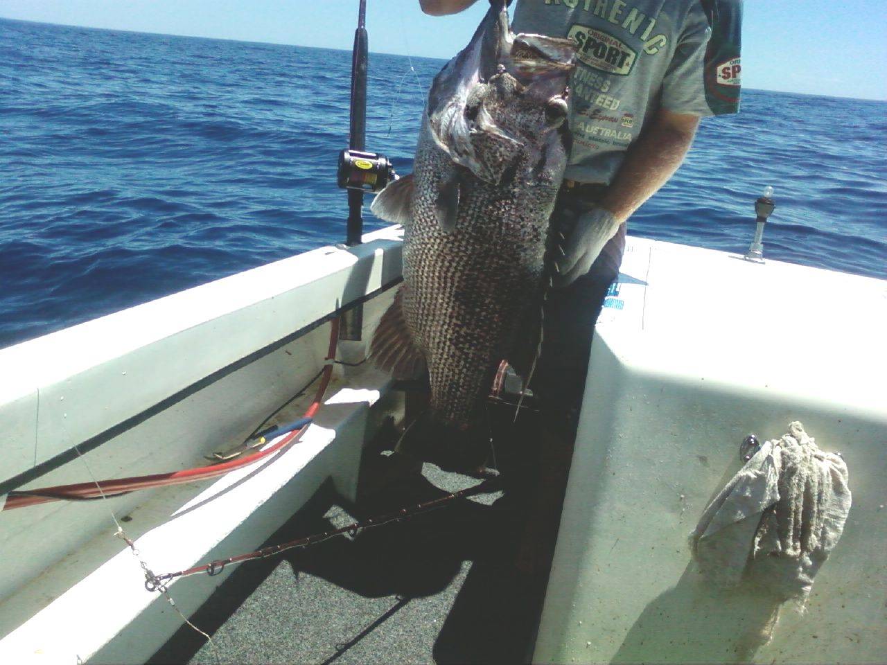 Great Boxing day fishin