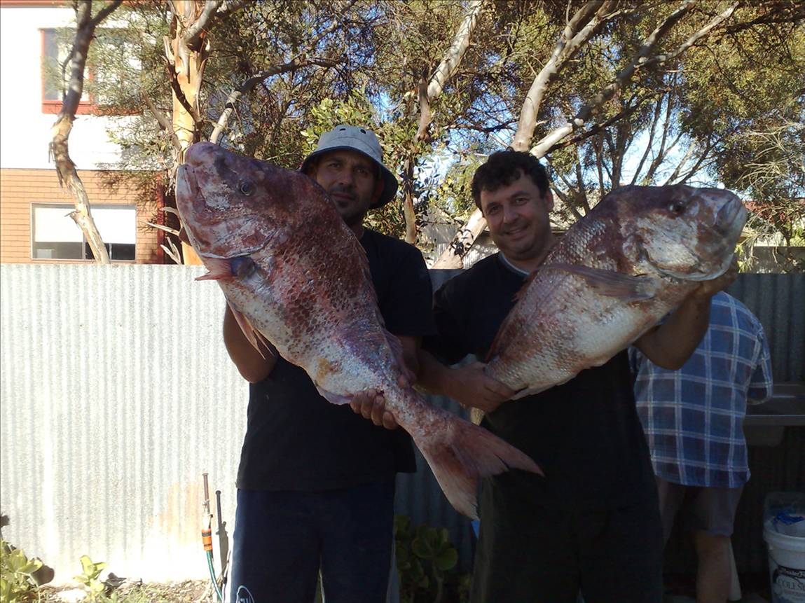 12.5KG -12.0KG AND 5KG BIG BOYS AT PORT VINCENT SECOND POLE AT ORONTES 