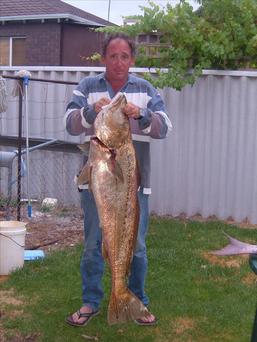 19 k Mulloway caught in the middle of the ocean off Bunbury 