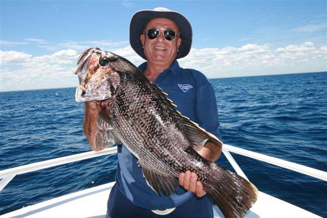 bloodey eastern staters in west oz