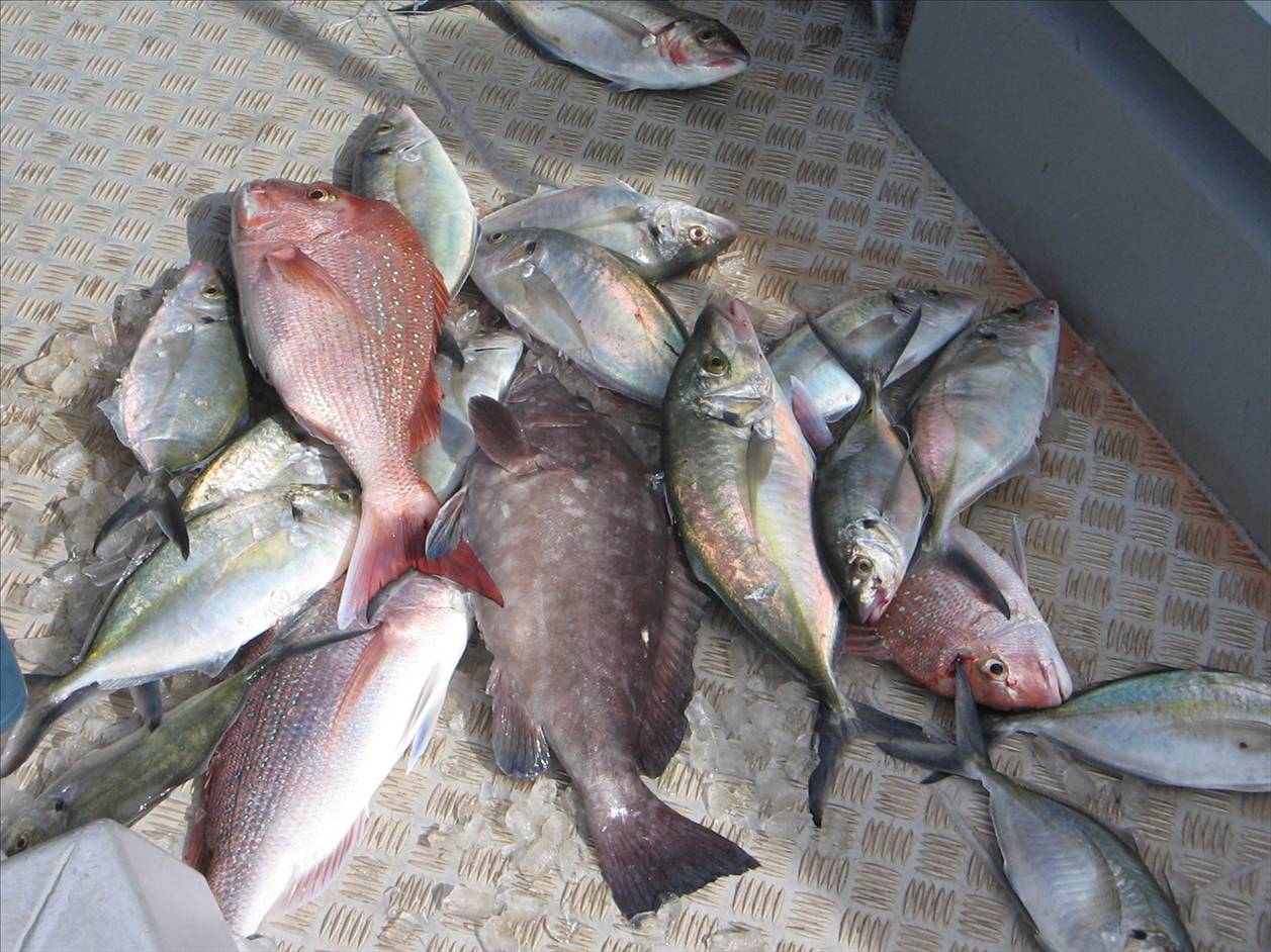 mixed bag while on charter