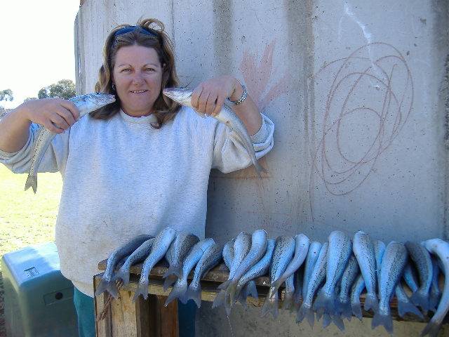 KI Sth Aussie - King George Whiting are biting!