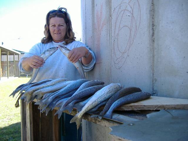 KI Sth Aussie - King George Whiting are biting!