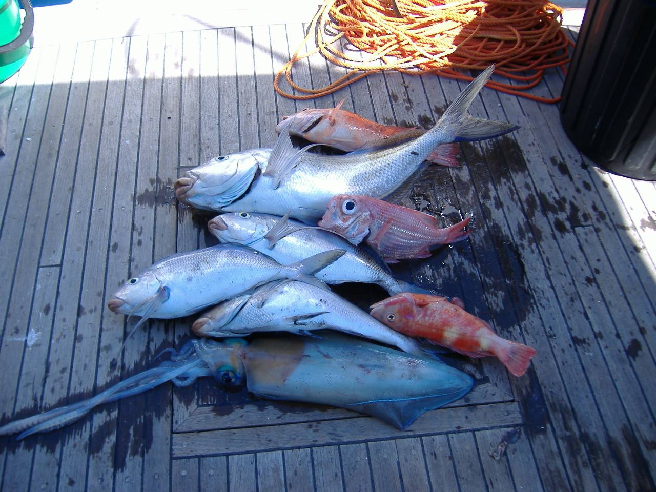 Woody Island Day Out - Esperance WA