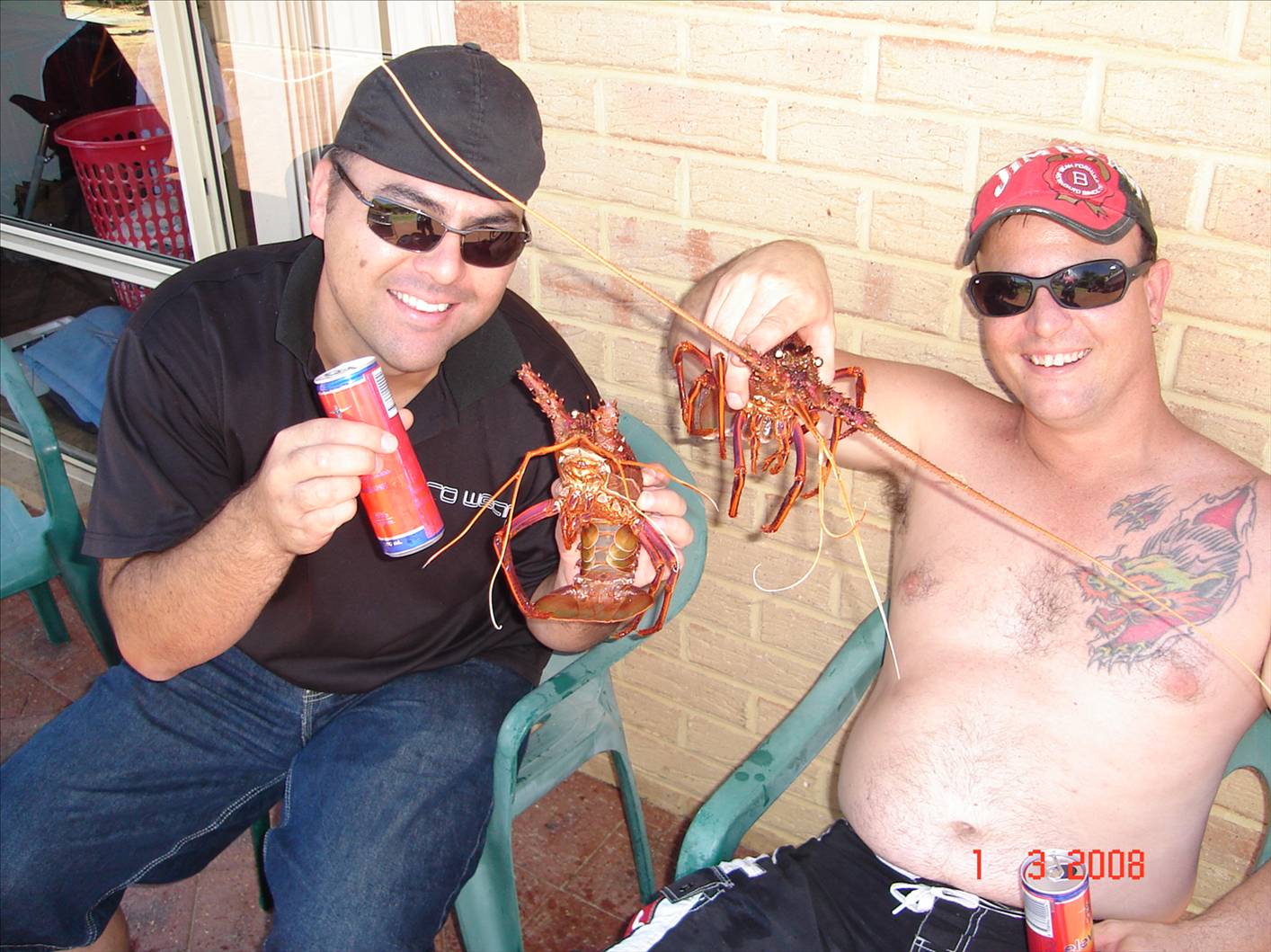 Half way to 3mile reef, lovely buggers.