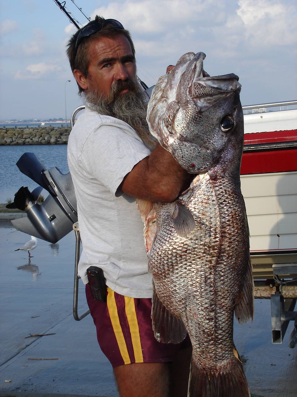 zztops  dhuie <shanes>