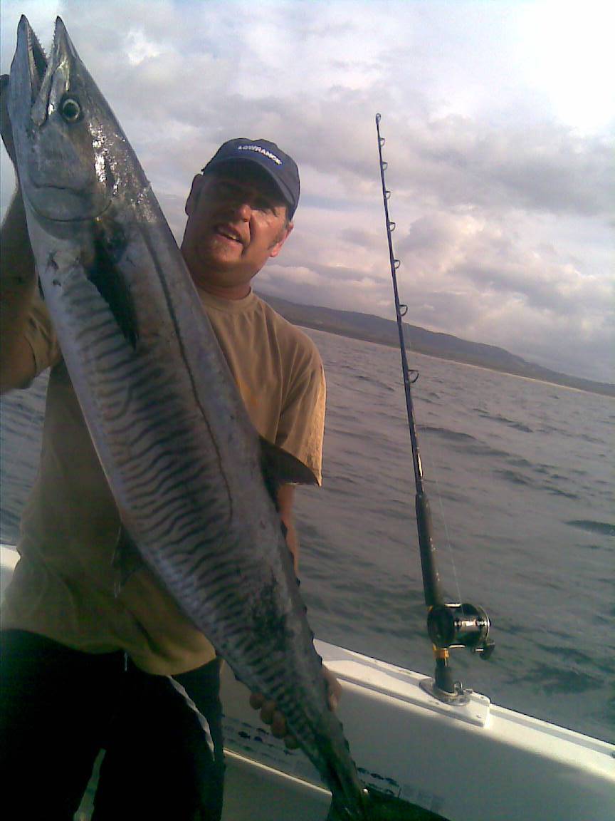 14.5kg spanish mackreal