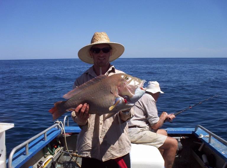 Good Start To Easter