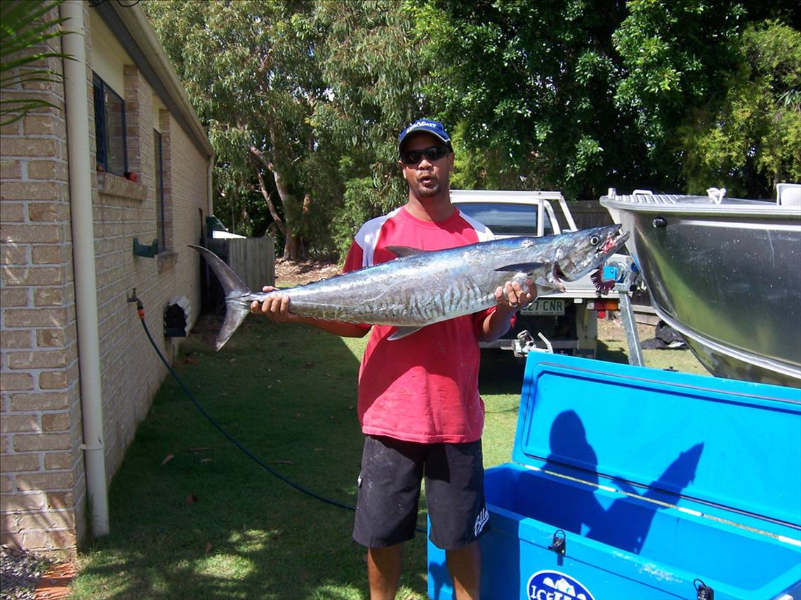Spanish Mackeral - Caloundra, Sunshine Coast