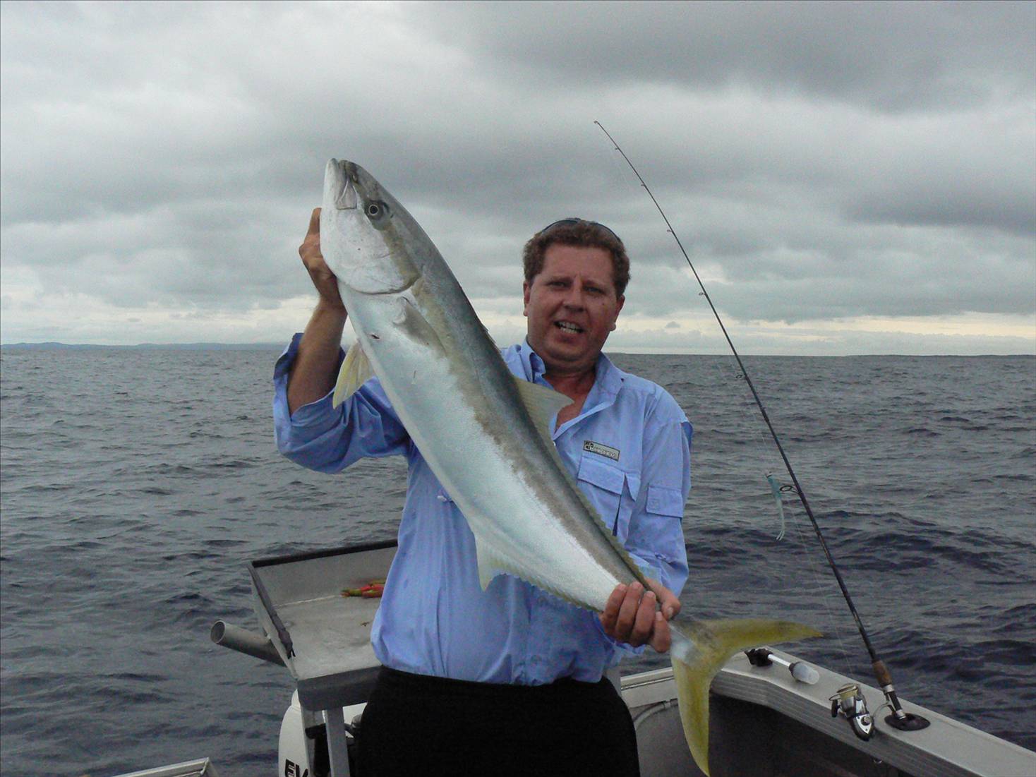 13kg Yellow Tail king Fish