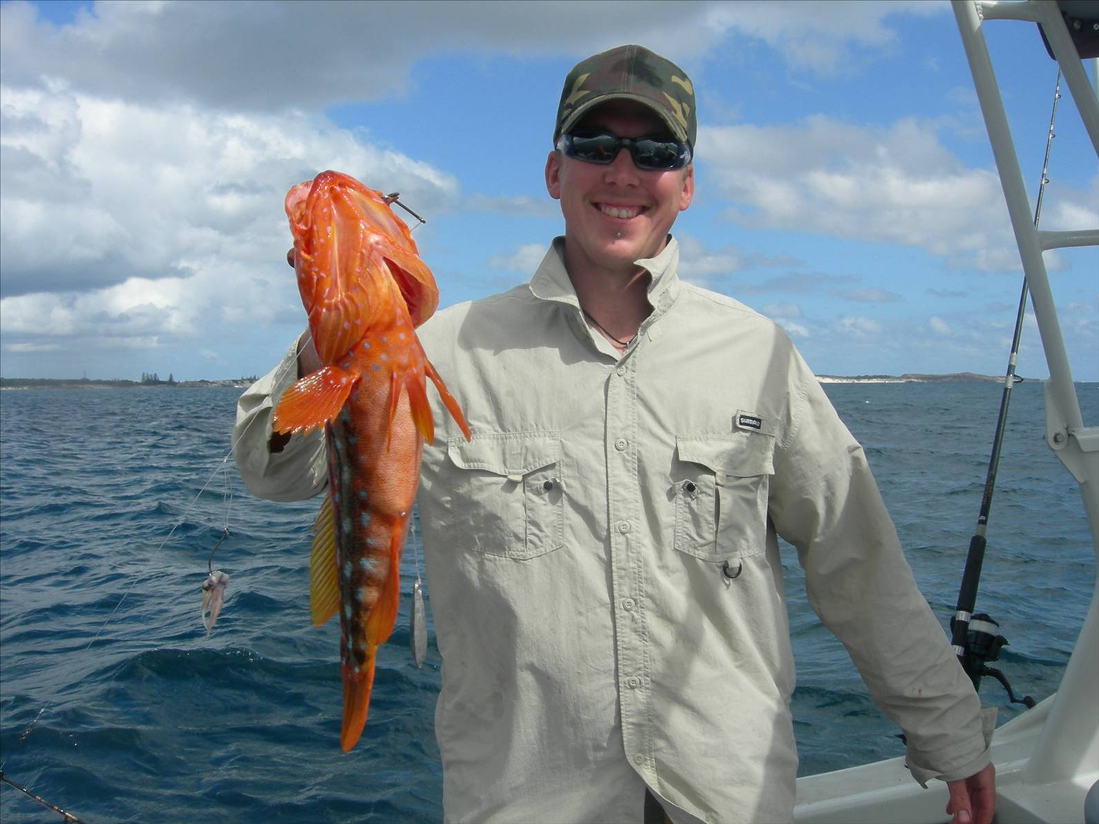 harlequin cod i caught in cleggys boat