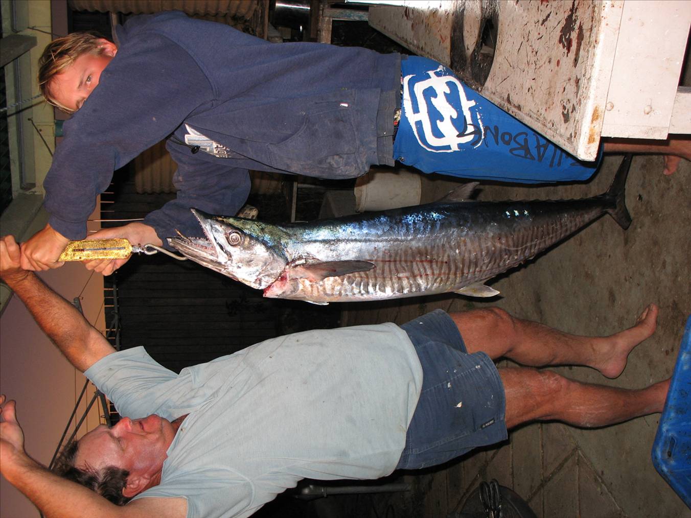 we all love mackerl steaks