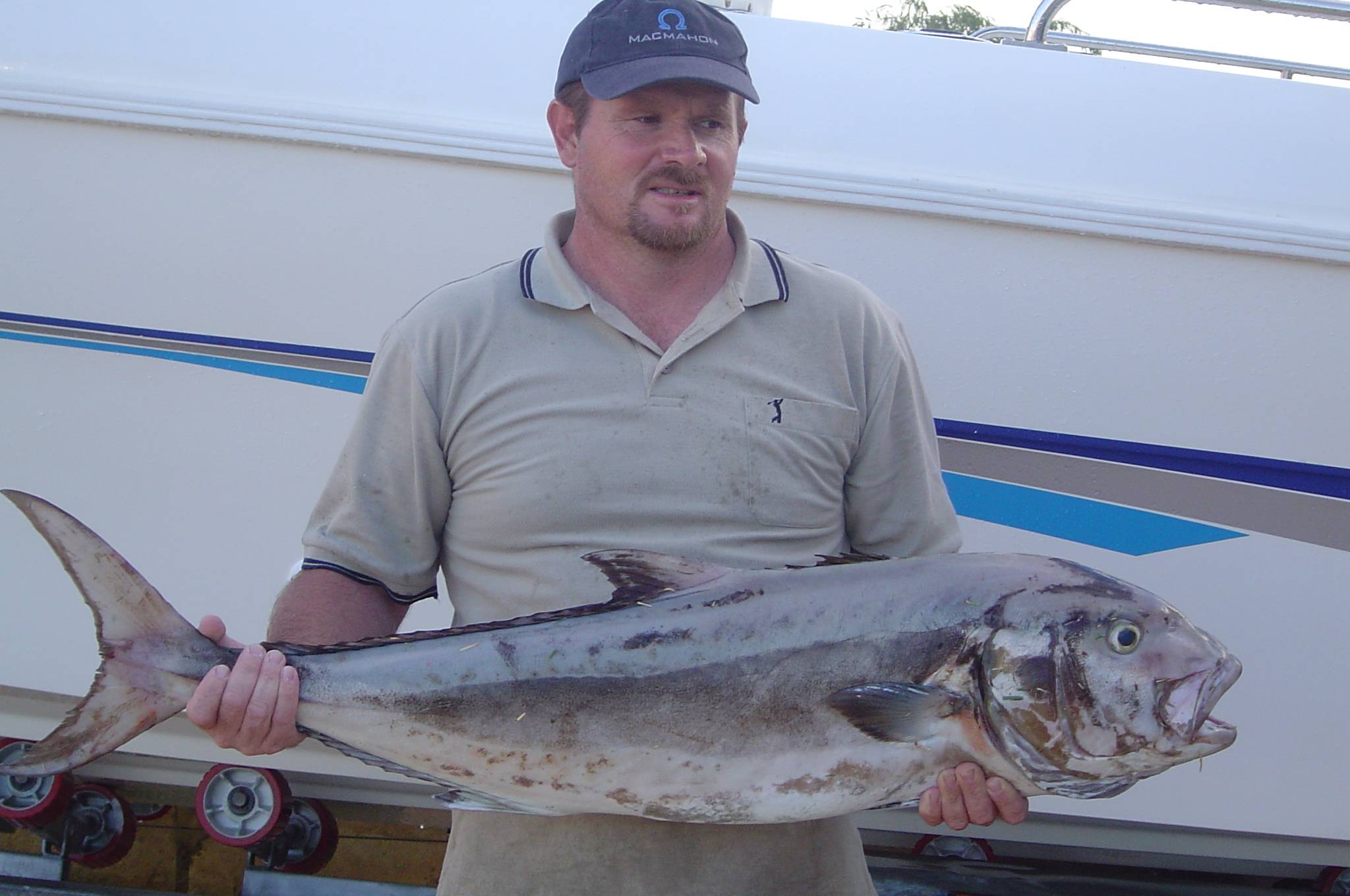 30 Pound samson fish