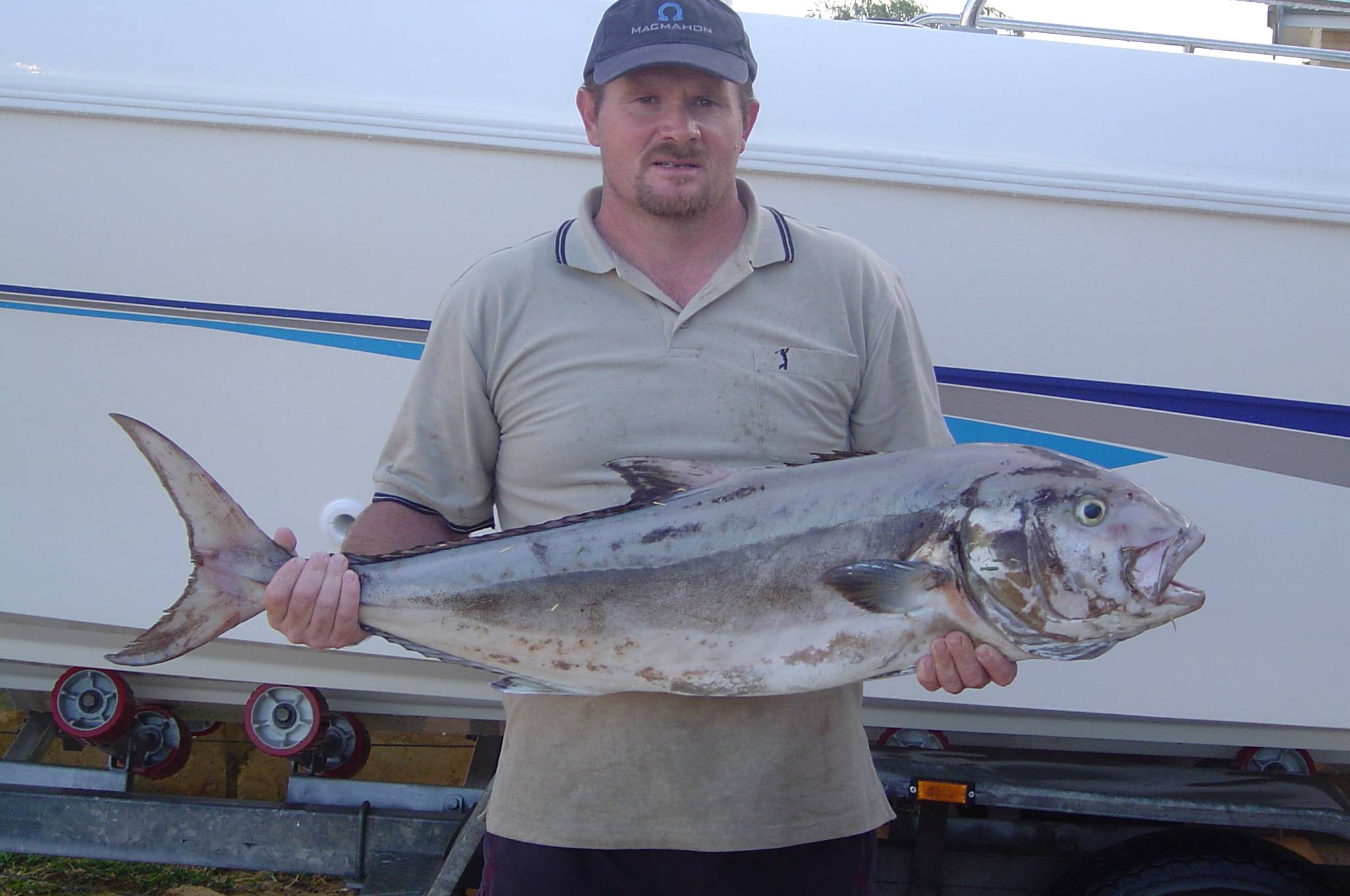 30 Pound samson fish