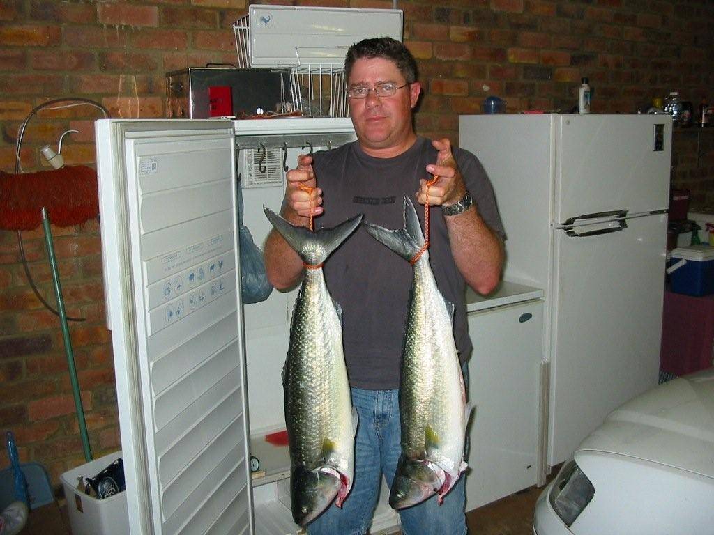 Dunsborough Salmon