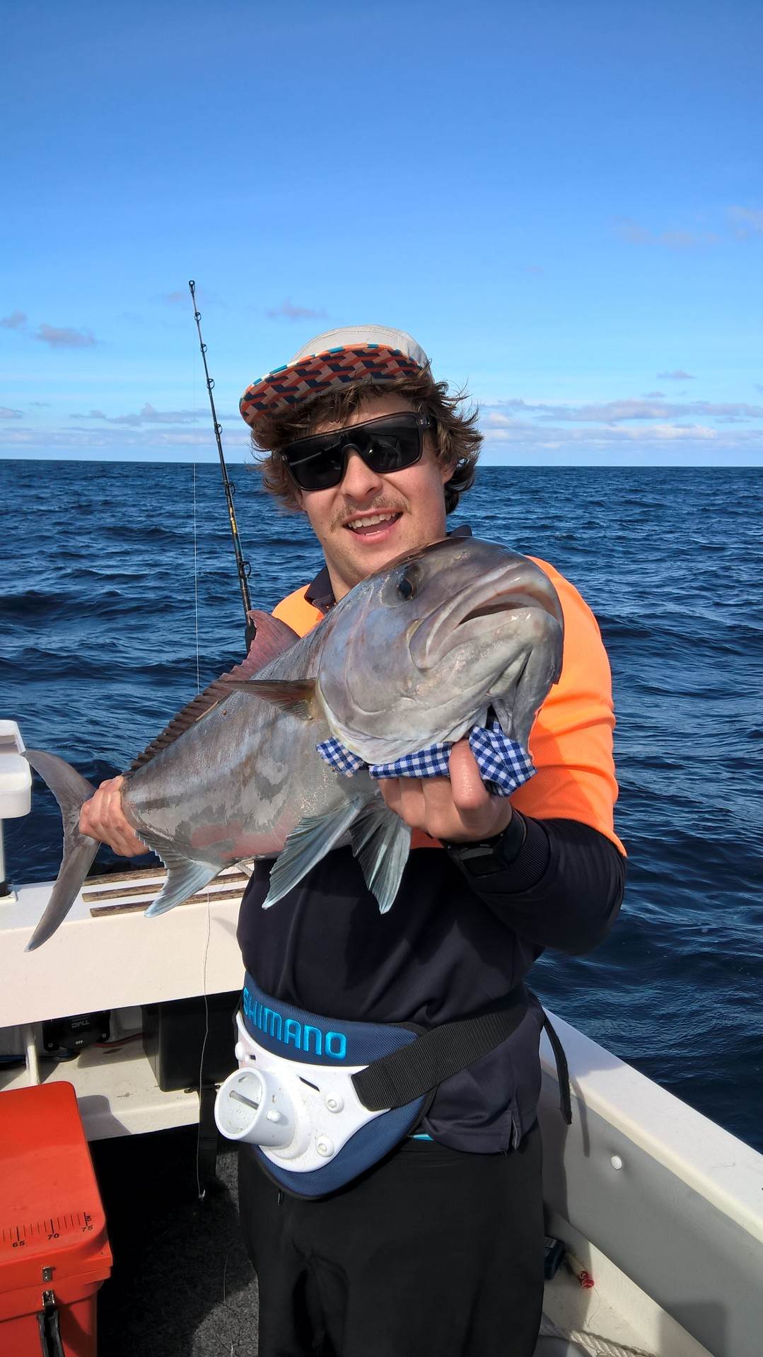 WP 20160331 10 02 21 Pro