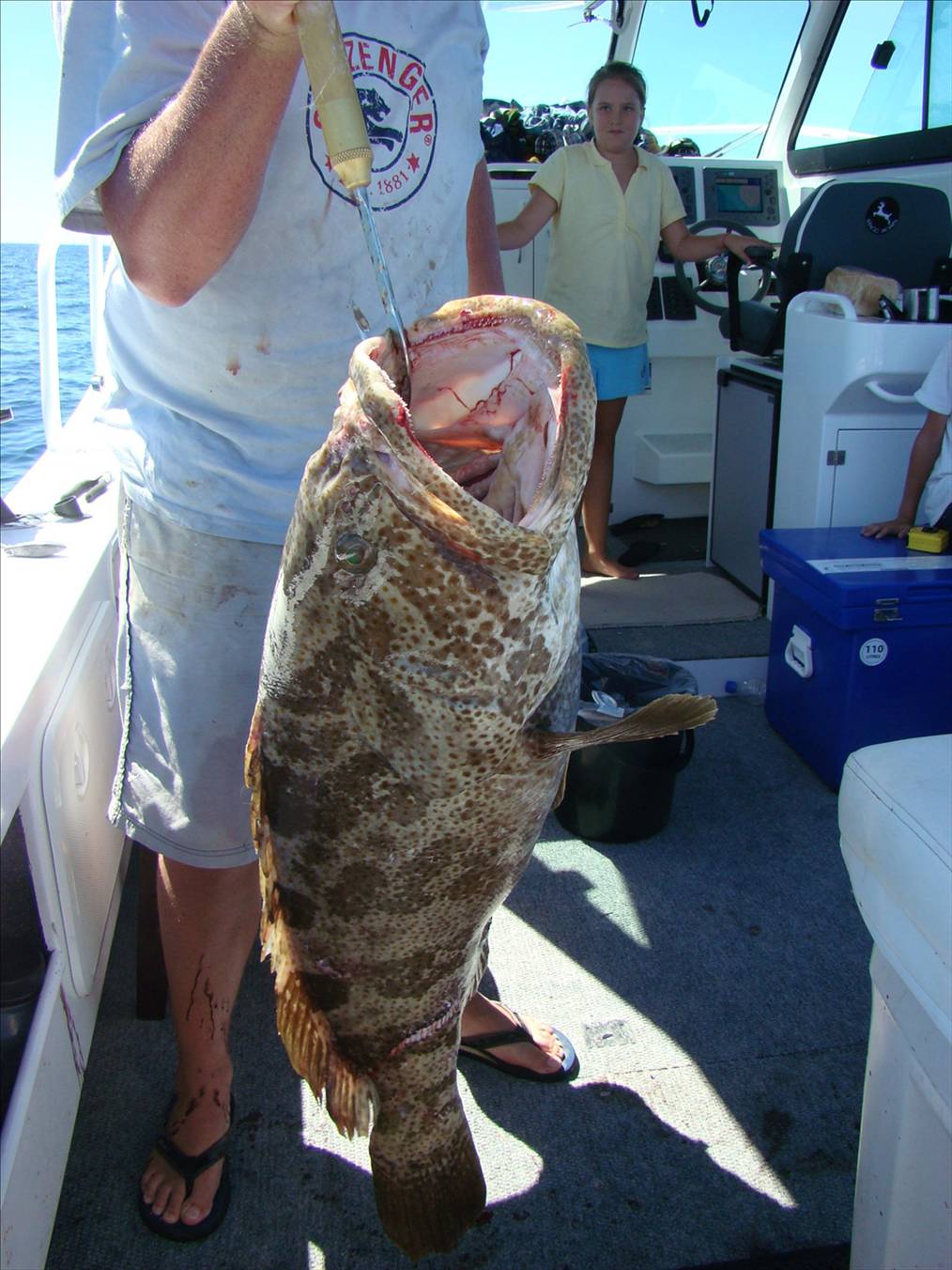 1100mm 28.5kg released to fight another day 40-50y