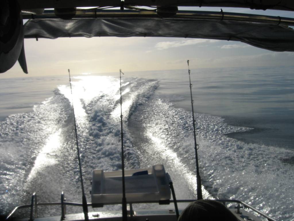 day and night fishing of bunno 