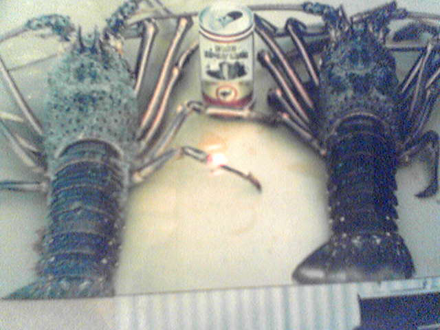 Crays...........circa 85