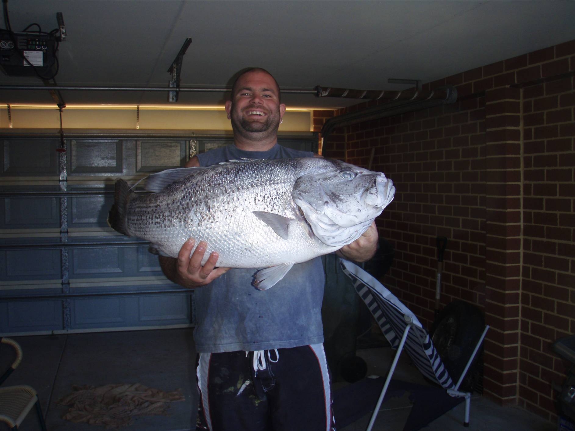 10 Kg Dhufish