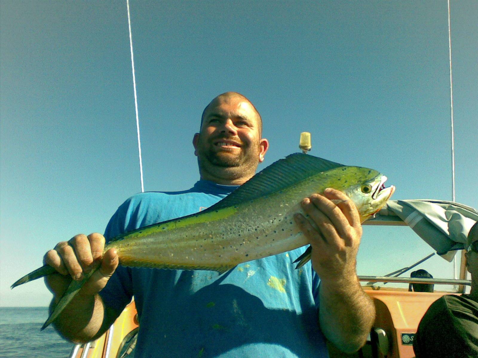 Maih Maih (Dolphin Fish)