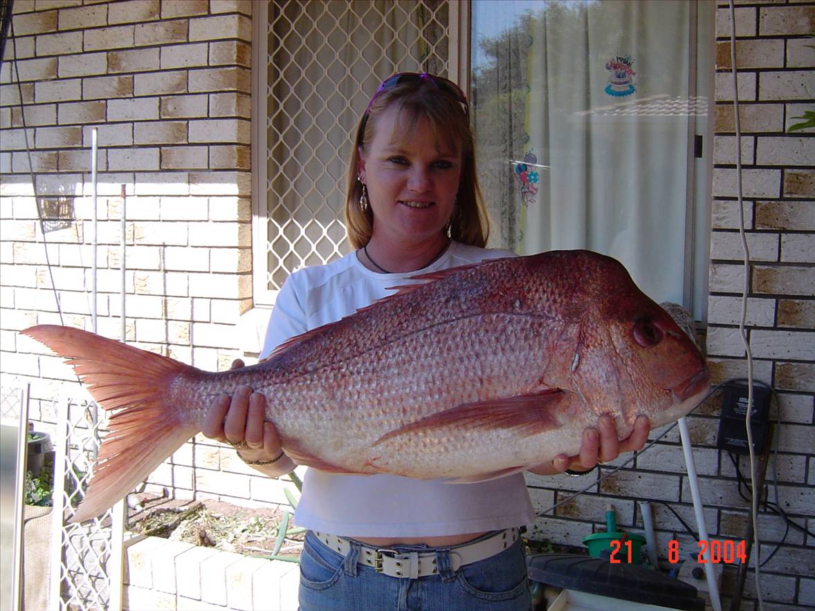 6.5kg Snapper