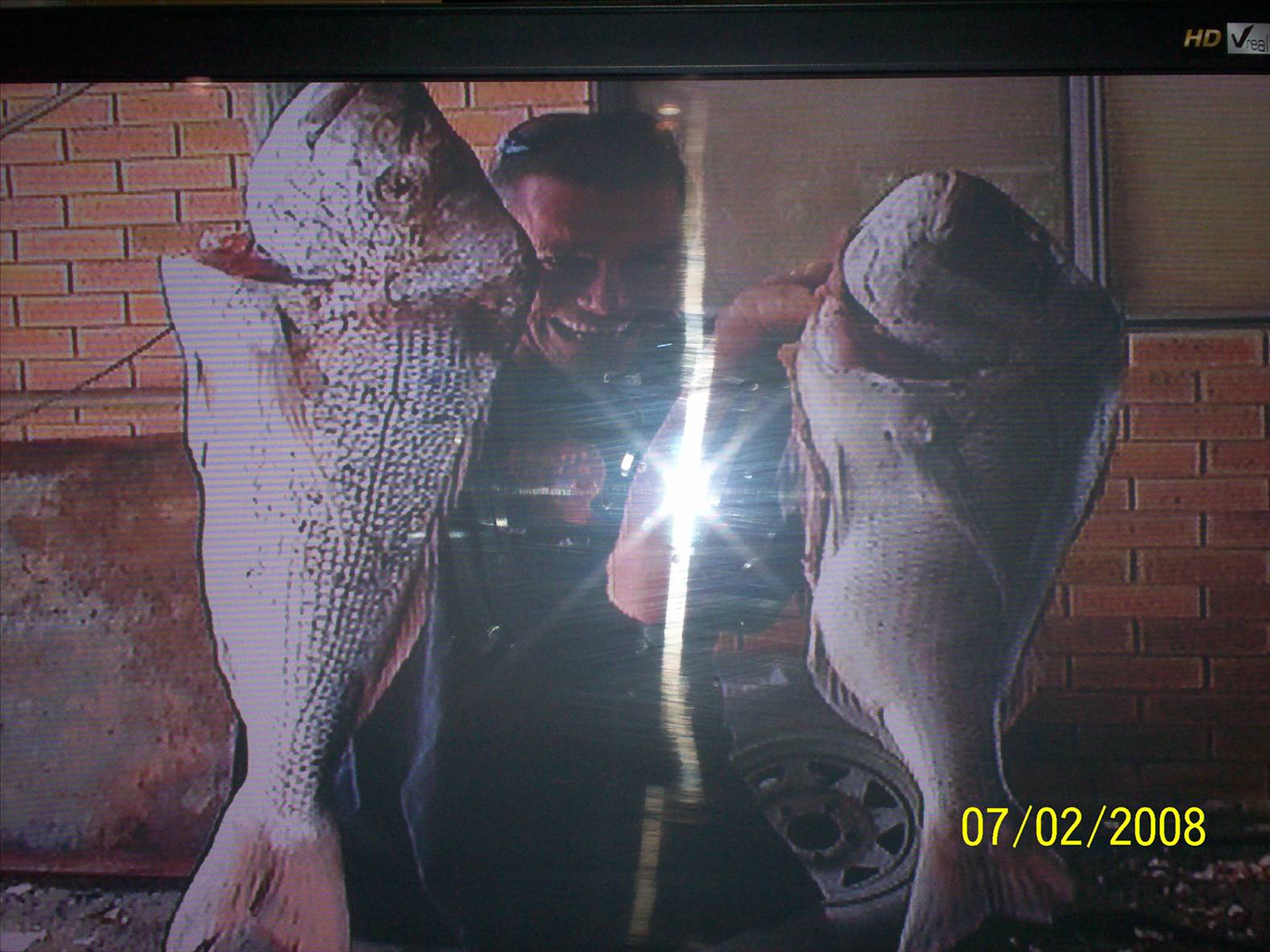 cockburn sound snapper