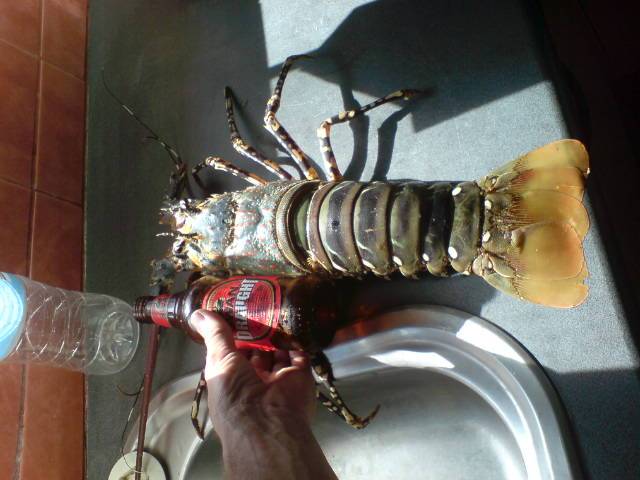 exmouth journey cray