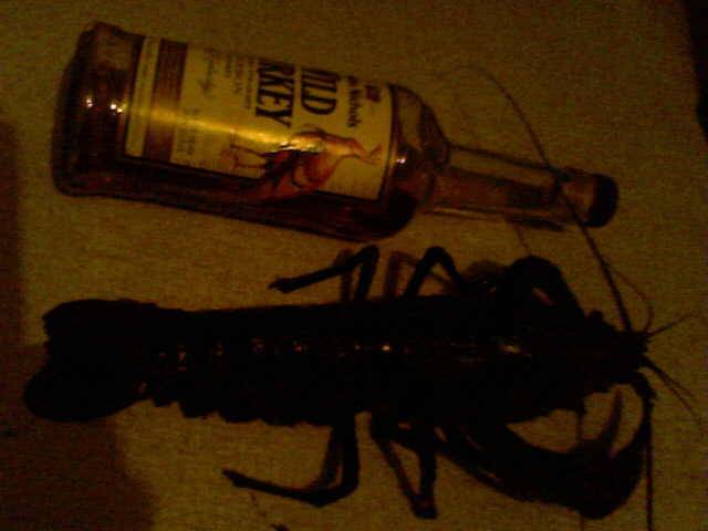 marroning blackwood river