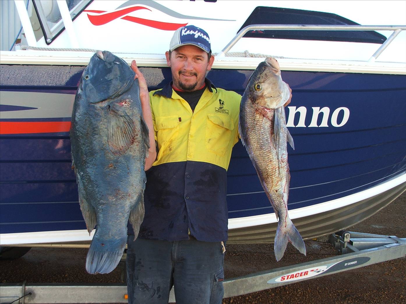 groper and a queenie