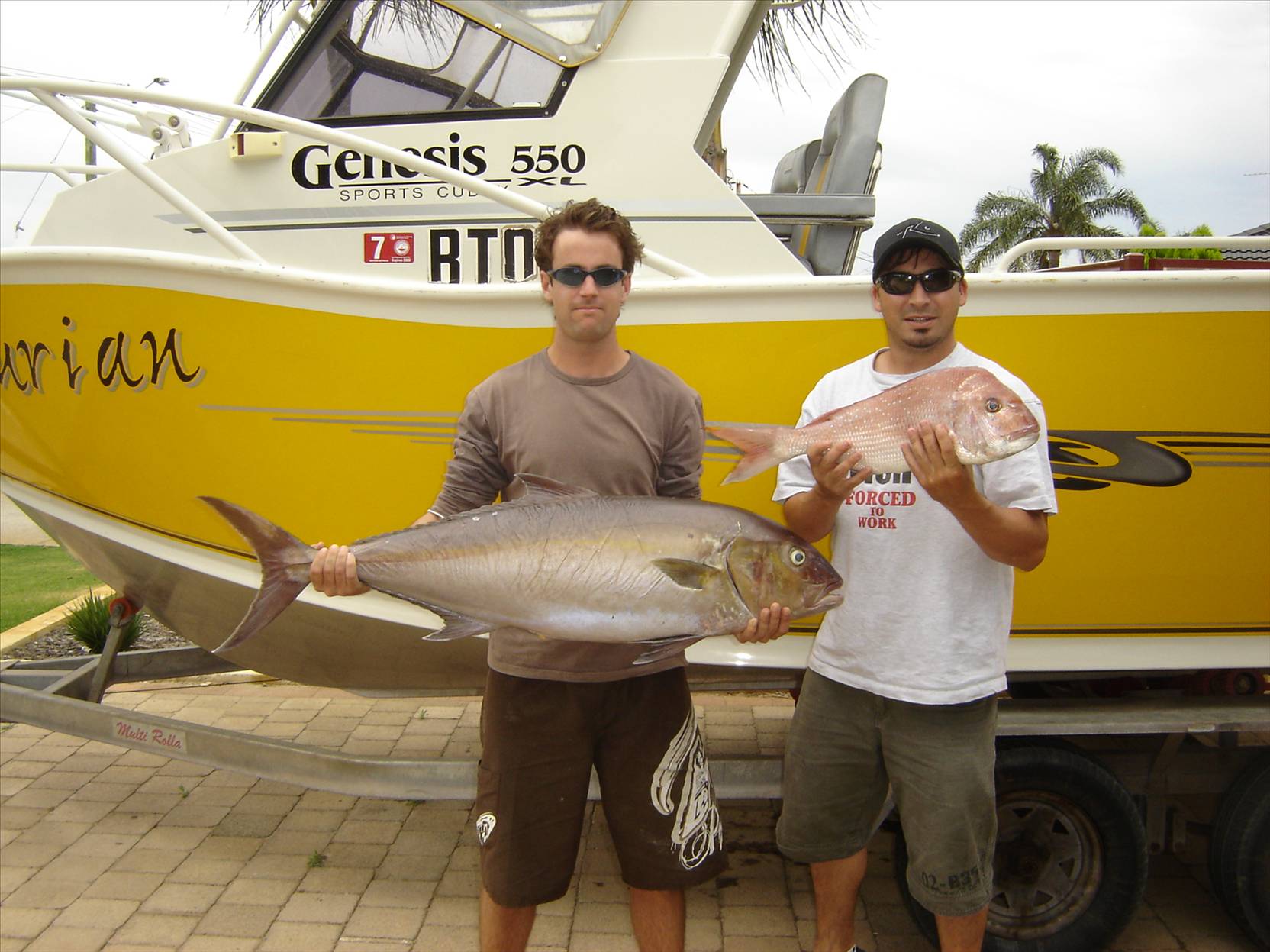 sambo and pinky out from Rotto