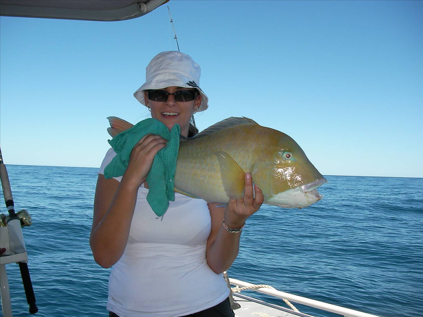 Mels first Baldchin groper