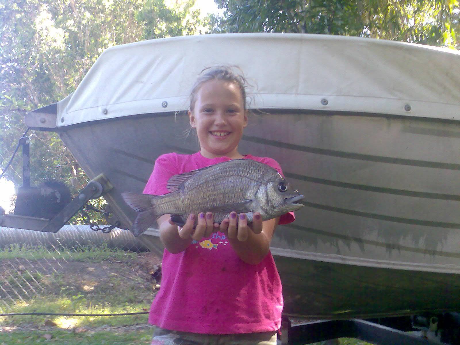 nice bream cooktown