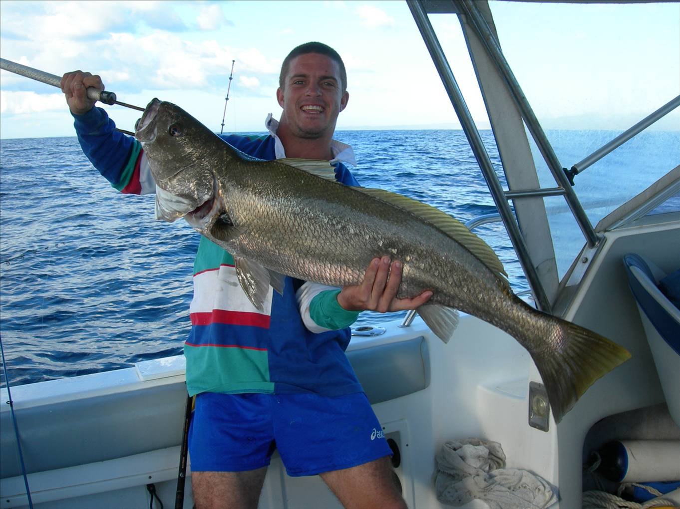 soft plastic moreton