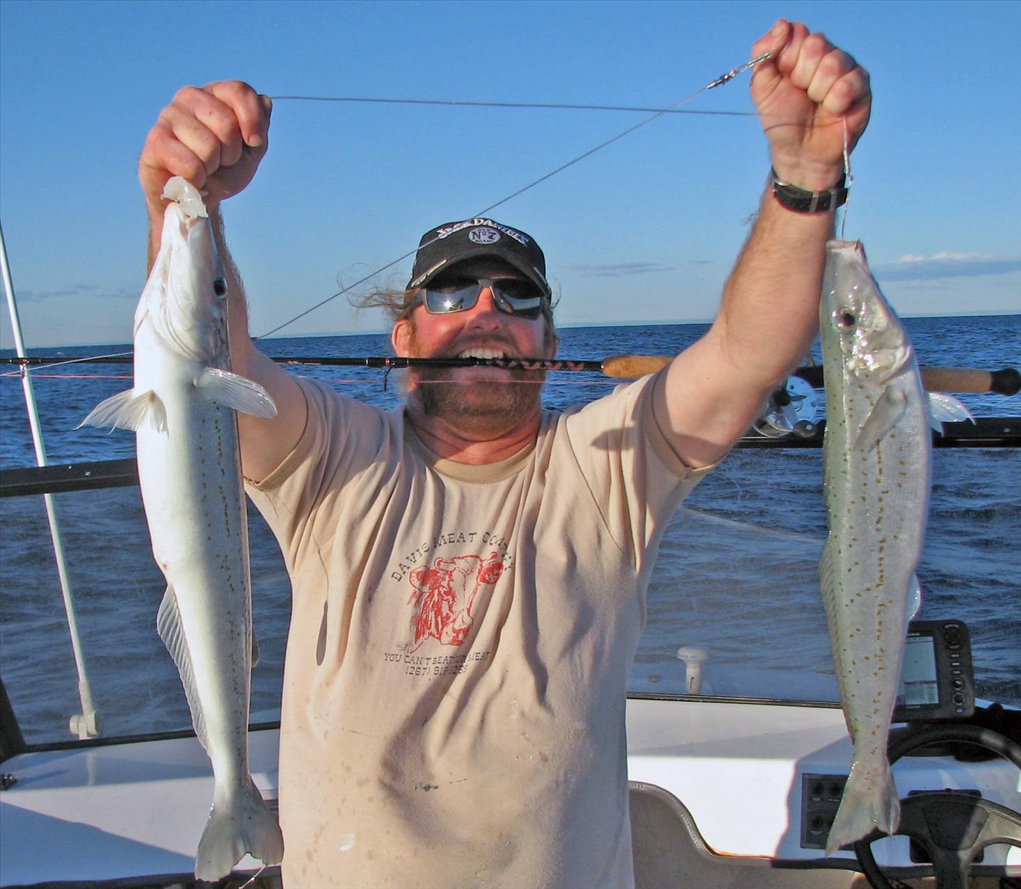 rockingham kgs/ derwent mulloway