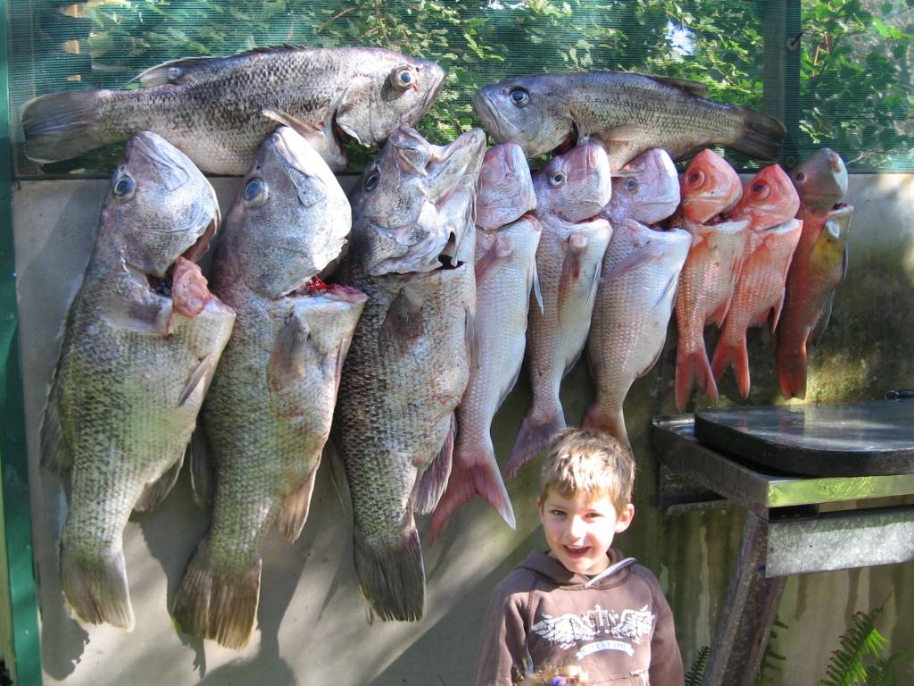 Miller very happy with a couple of 14kg Dhuies 