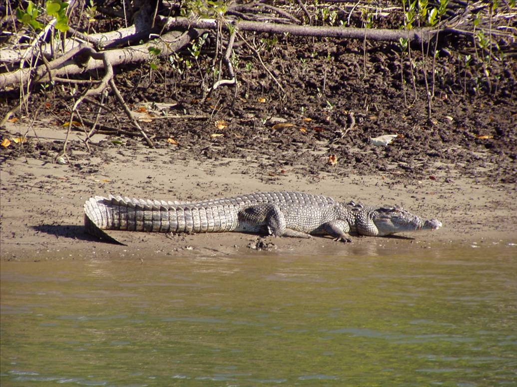 granddaughter first fish