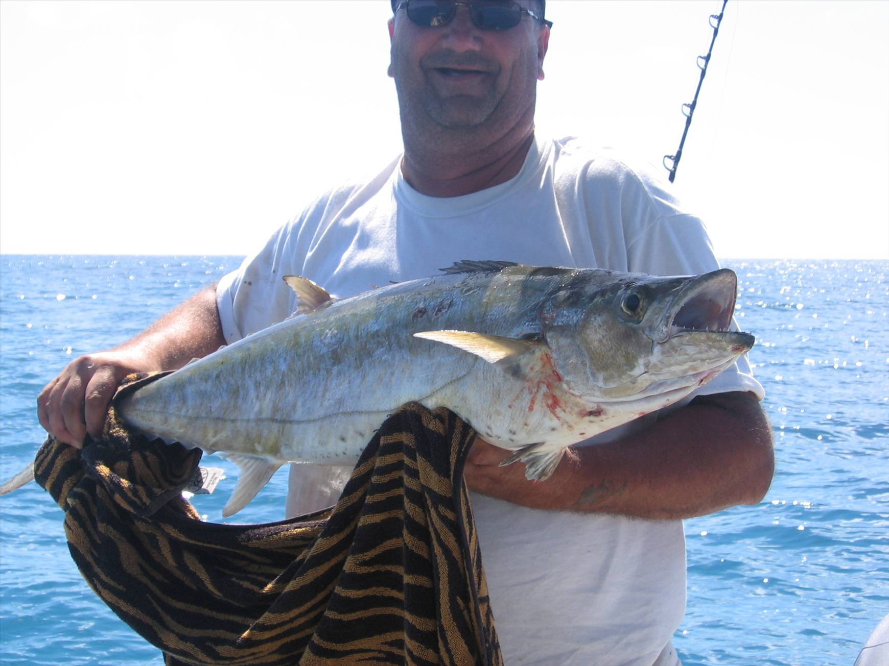 Bolte Reef came through again.