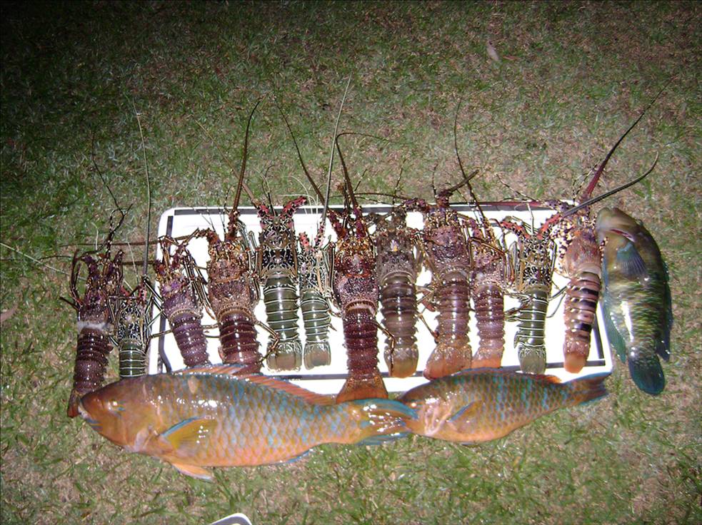 day out with some mates