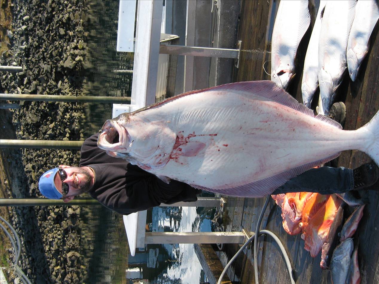 140lb halabat off Alaska