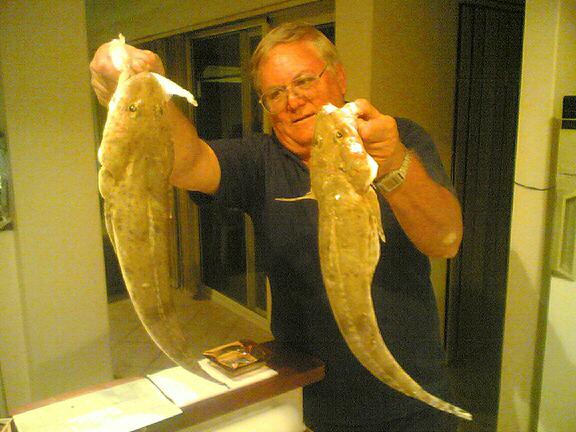 1 @ 505mm & 1 @ 515mm