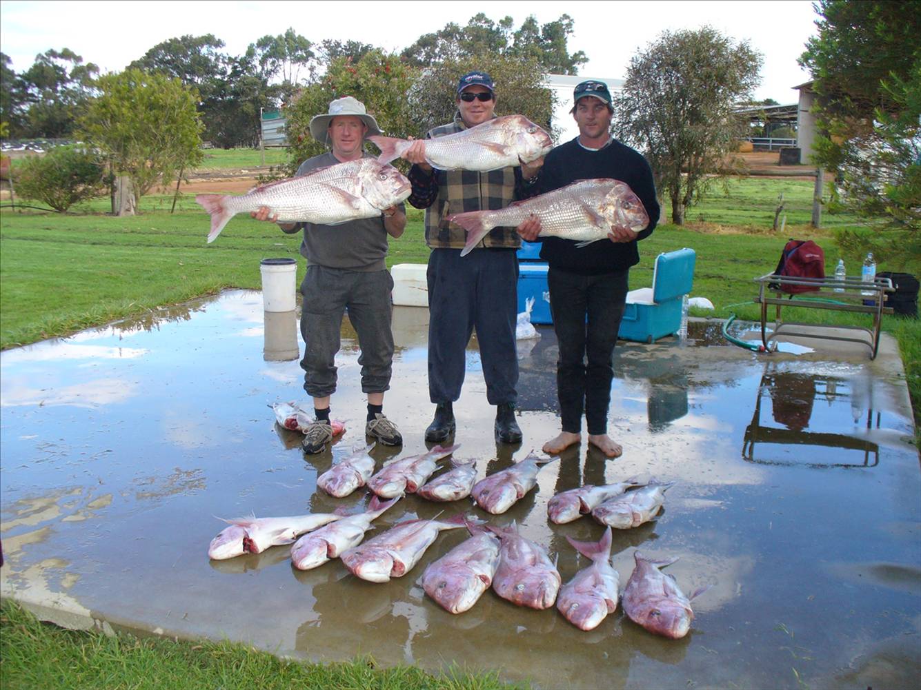 GIBBY CHICKEN AND LOCKY