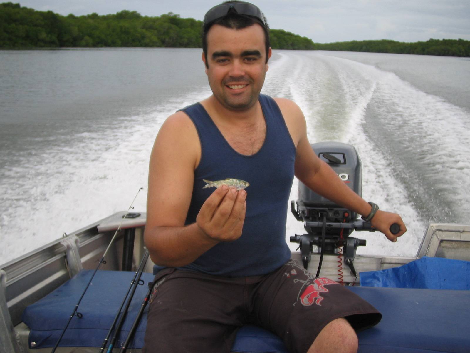 At least its not a BIRD...