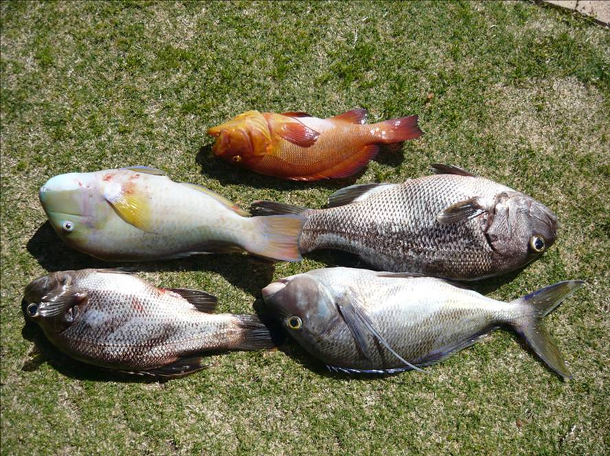 nice day out from perth